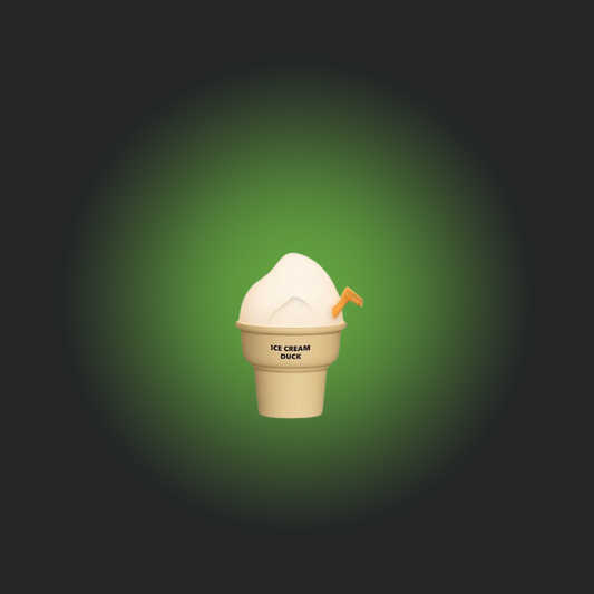 Ice Cream Duck Home decor